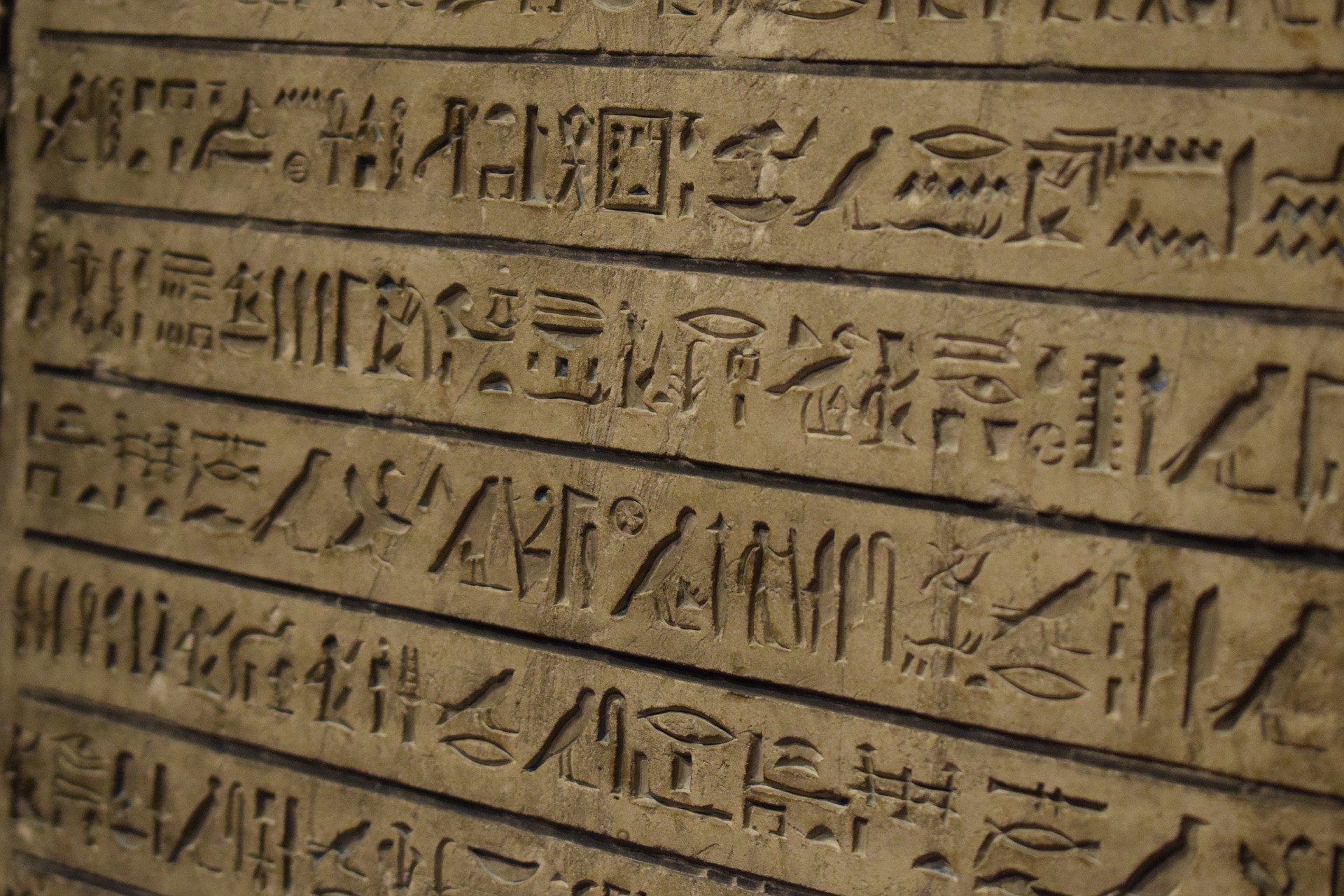 تعلم الهيروغليفية، دليلك الكامل لدراسة اللغة والحضارة الفرعونية