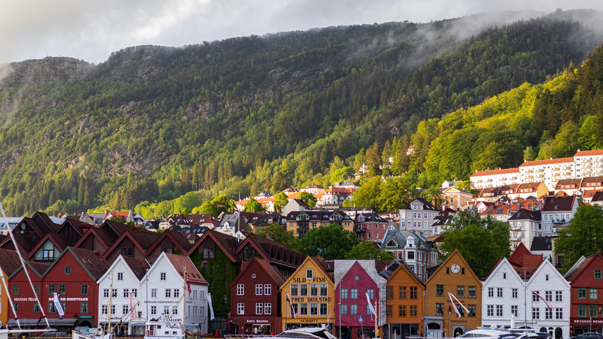 صورة لحي في النرويج ليرمز إلى الدراسة في الخارج