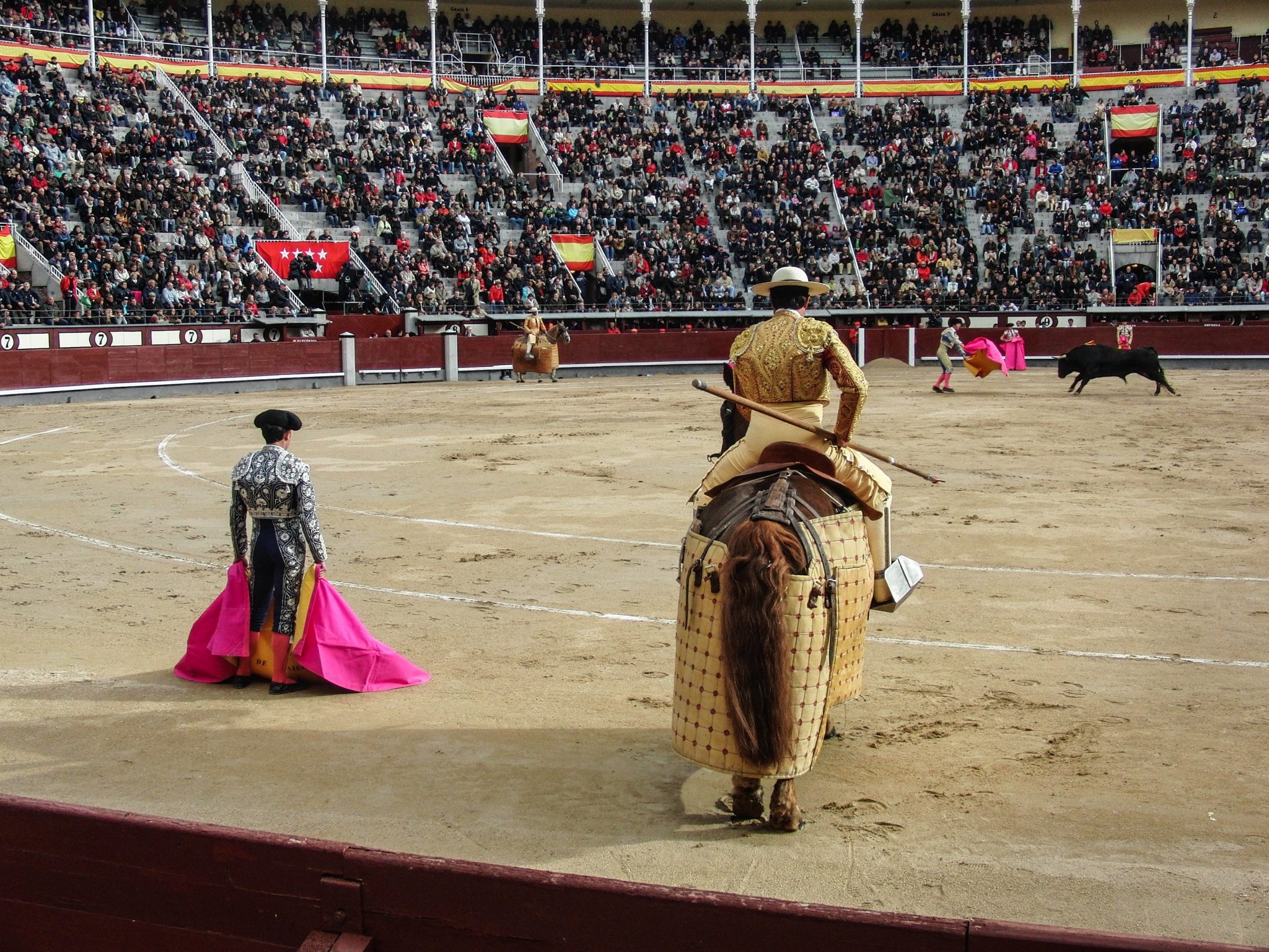 صورة لرياضة مصارعة الثيران في إسبانيا